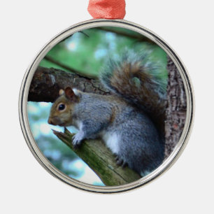 Squirrel on a branch metal ornament