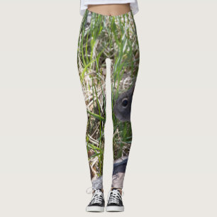 Squirrel on a Log Leggings