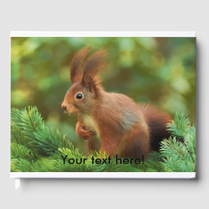 Squirrel on a tree guest book