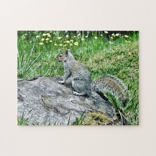 Squirrel on a Tree Stump Jigsaw Puzzle (Horizontal)