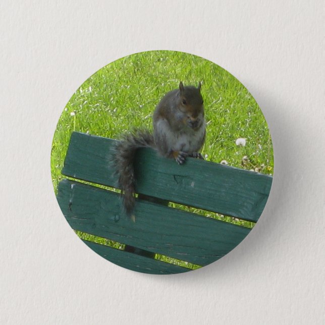 Squirrel on Bench 6 Cm Round Badge (Front)