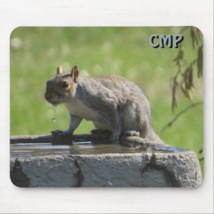 Squirrel On Bird Bath with Your Initials Mouse Pad