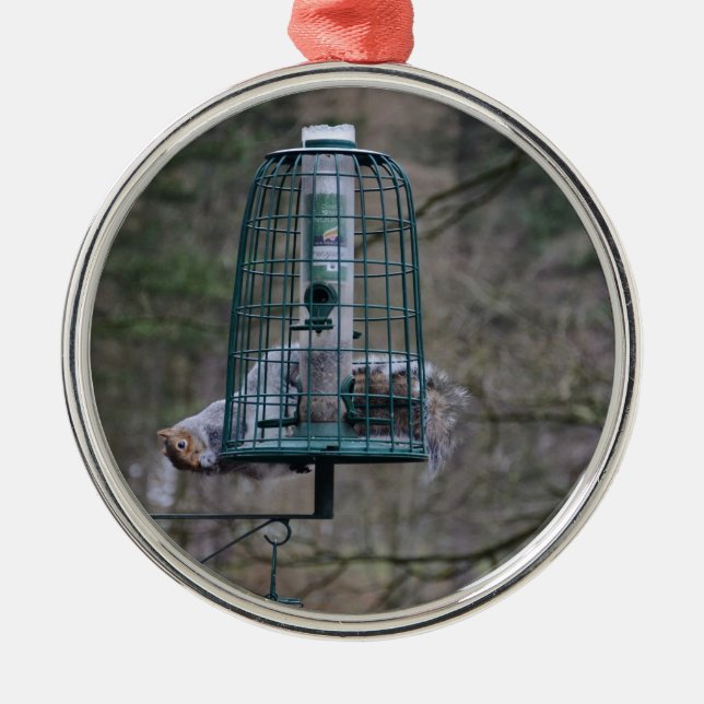 Squirrel on bird feeder metal tree decoration (Front)