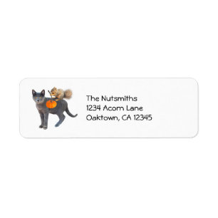 Squirrel on Cat with Pumpkin Address Labels