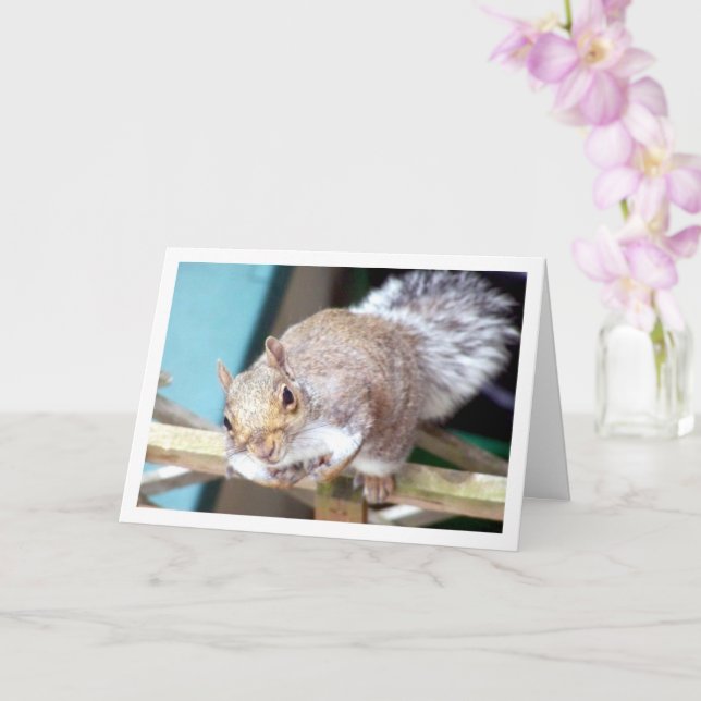 Squirrel on Fence Card (Orchid)