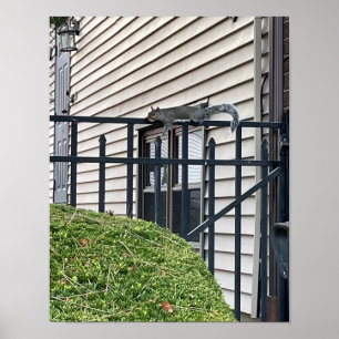 Squirrel on Fence Poster