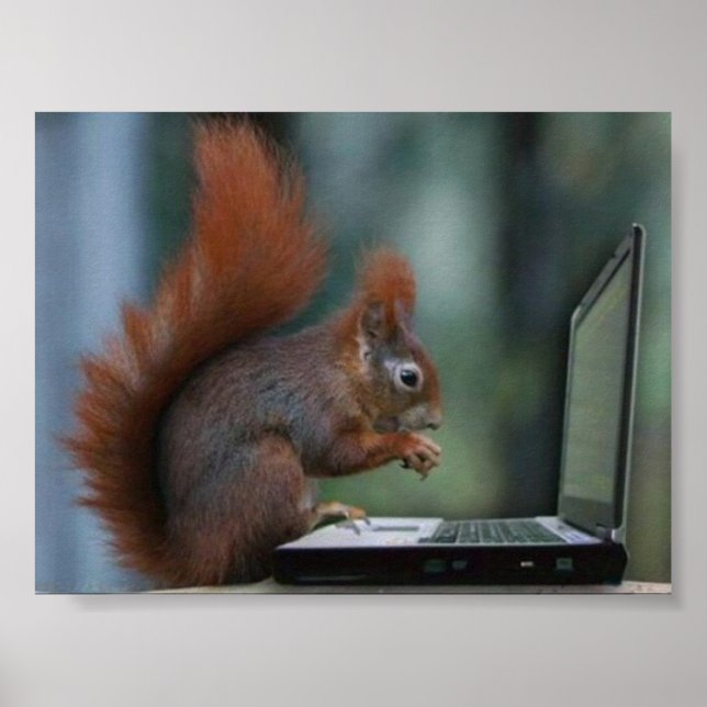 Squirrel on Laptop Poster (Front)