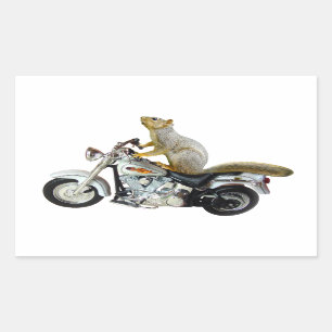 Squirrel on Motorcycle Rectangular Sticker
