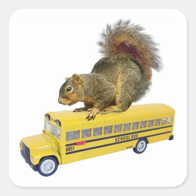 Squirrel on School Bus Square Sticker (Front)
