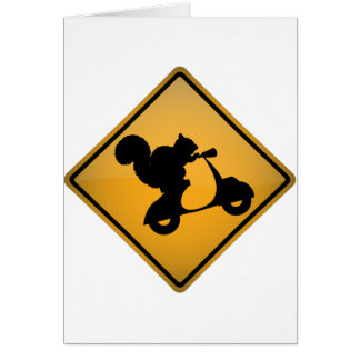 Squirrel on Scooter