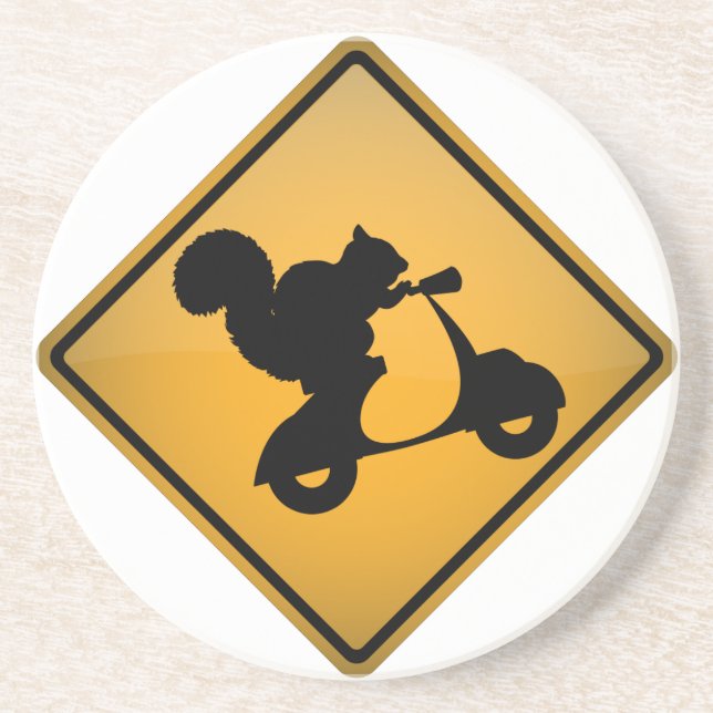 Squirrel on Scooter Coaster (Front)