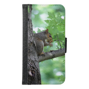 squirrel on the tree samsung galaxy s6 wallet case