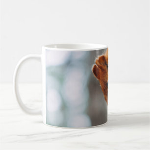 SQUIRREL ON TREE TRUNK COFFEE MUG