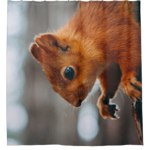 SQUIRREL ON TREE TRUNK SHOWER CURTAIN