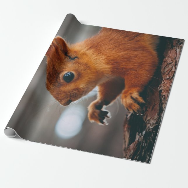 SQUIRREL ON TREE TRUNK WRAPPING PAPER (Unrolled)