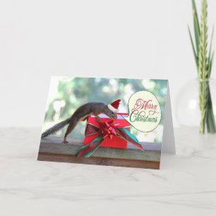Squirrel Opening Christmas Present Holiday Card