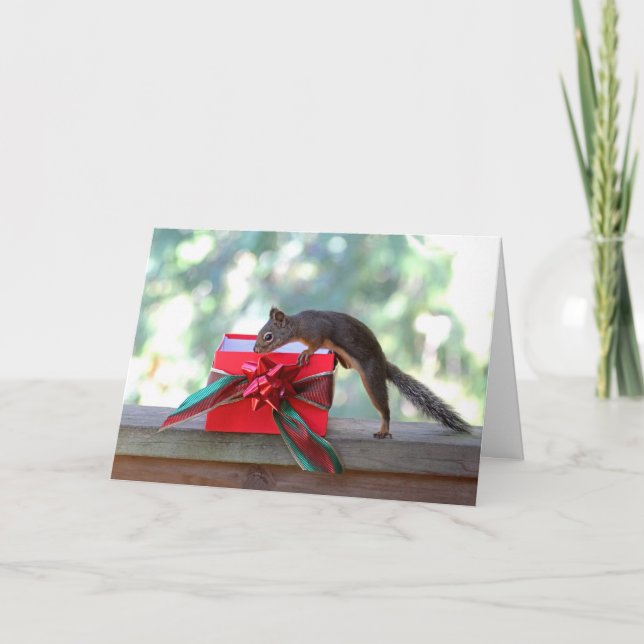 Squirrel Opening Christmas Present Holiday Card (Front)