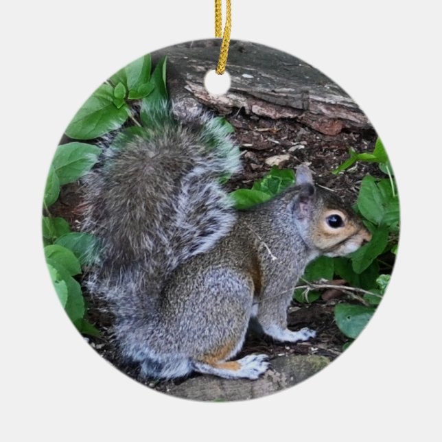 Squirrel Ornament  (Front)