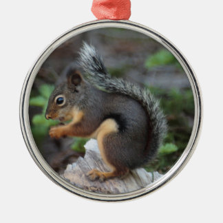 Squirrel Ornament