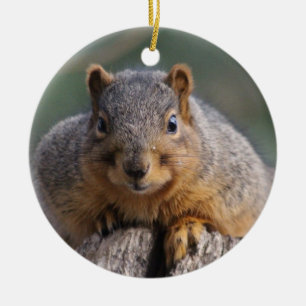 Squirrel ornament