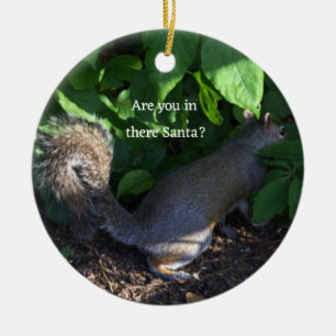 Squirrel Ornament 