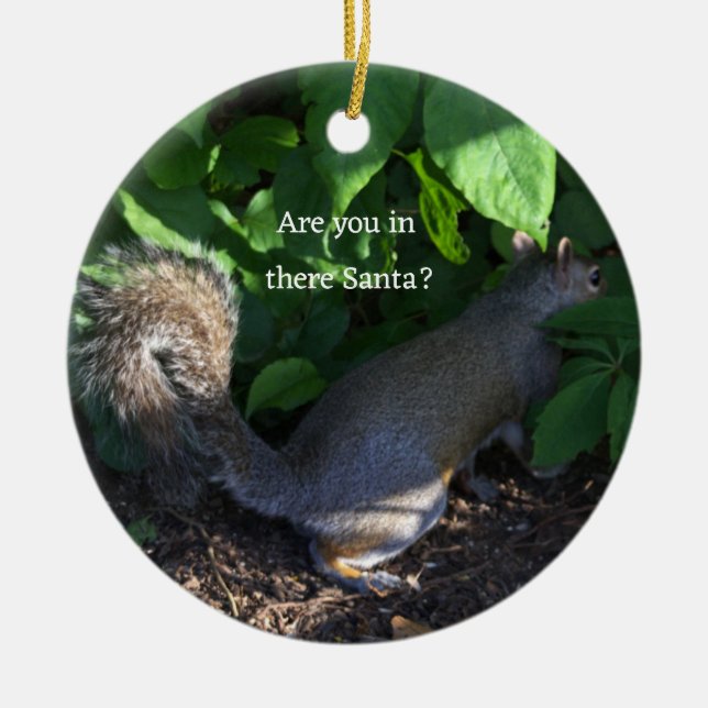Squirrel Ornament  (Front)