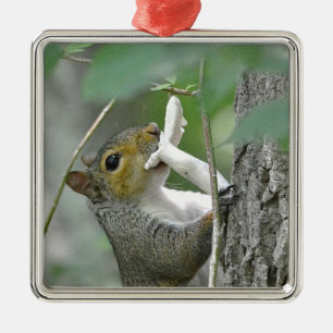 Squirrel Ornament