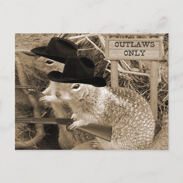 Squirrel Outlaws In The Old West Postcard (Front)