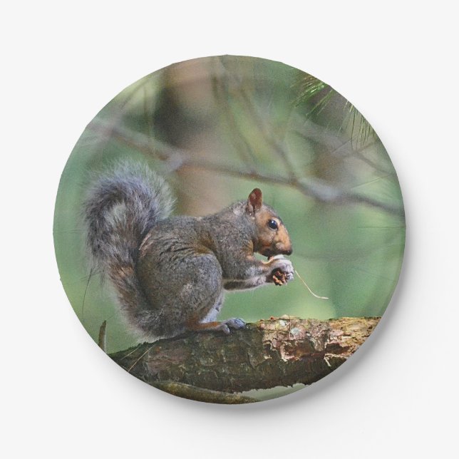 Squirrel Paper Plate (Front)