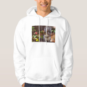 Squirrel Patiently Begs Hoodie
