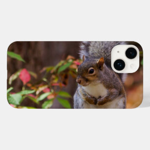 Squirrel Patiently Begs iPhone Case