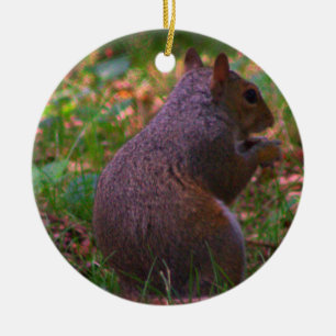 Squirrel Photo Christmas Ornament
