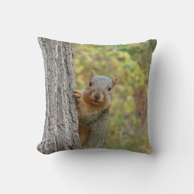 Squirrel pillow (Front)