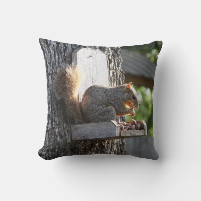 Squirrel Pillows (Front)