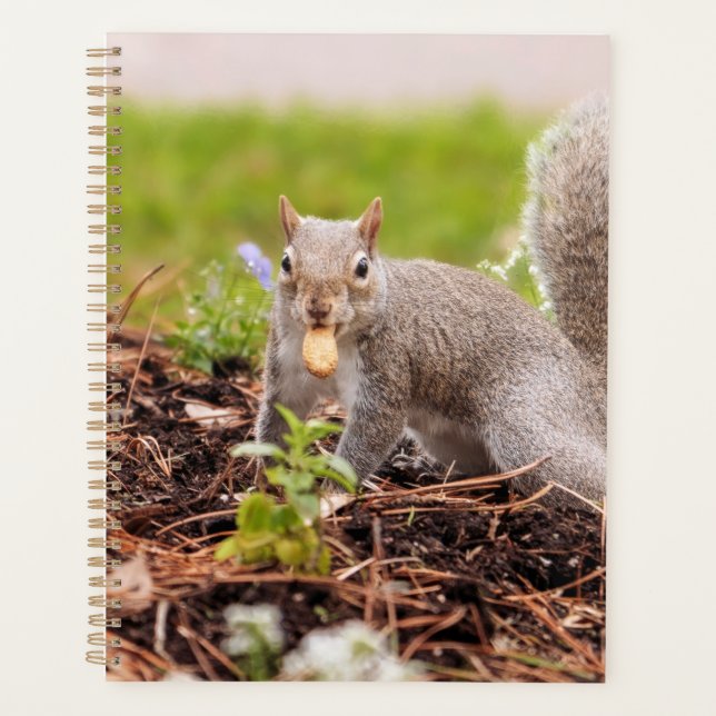 Squirrel Planner (Front)