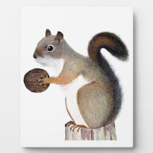 Squirrel Plaque