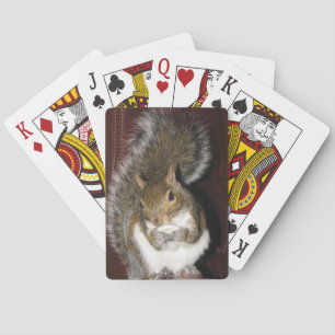 Squirrel Playing Cards