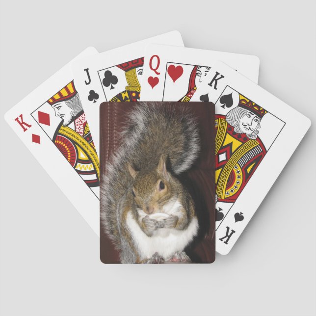 Squirrel Playing Cards (Back)