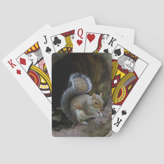 Squirrel Playing Cards (Back)