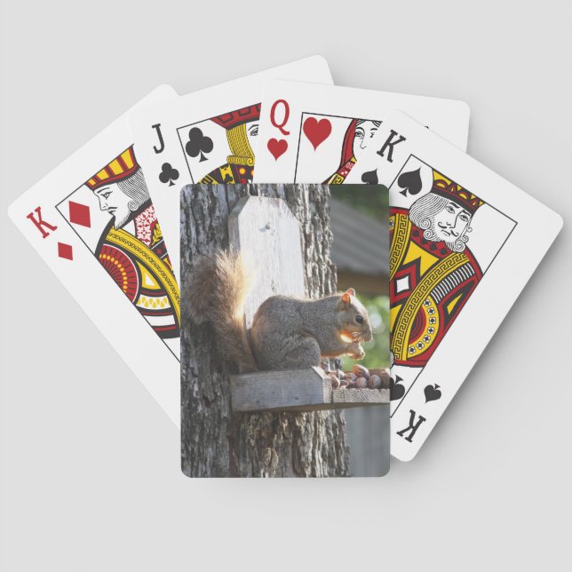 Squirrel Playing Cards (Back)