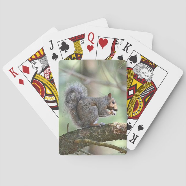 Squirrel Playing Cards (Back)