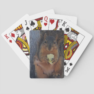 Squirrel Playing Cards