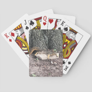 Squirrel Playing Cards