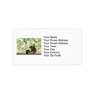 Squirrel Playing Piano Label