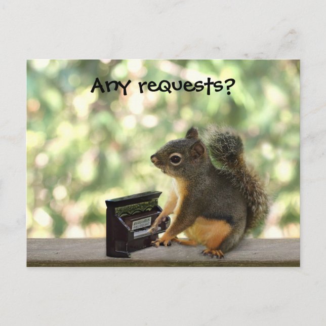 Squirrel Playing Piano Postcard (Front)