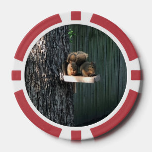 Squirrel Poker Chips