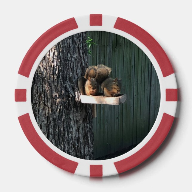 Squirrel Poker Chips (Front)