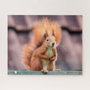 Squirrel Portrait, Jigsaw Puzzle
