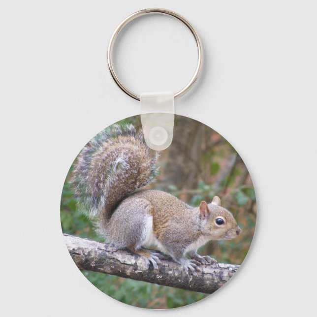 Squirrel Posing Key Ring (Front)