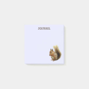 Squirrel Post-it Notes